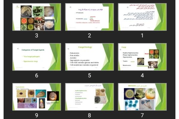 پاورپوینت قارچ های آلوده کننده مواد غذایی بیماری های قارچی فرصت طلب و بیماری های قارچی پاتوژن واقعی