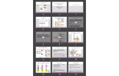 پاورپوینت Biology and functions of T Lymphocytes