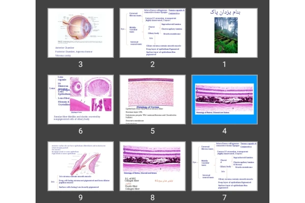 پاورپوینت Retina