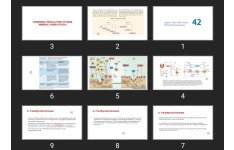 پاورپوینت Agents that Affect Bone Mineral Homeostasis