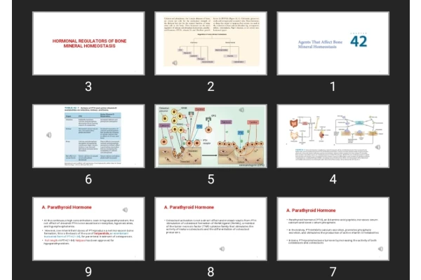 پاورپوینت Agents that Affect Bone Mineral Homeostasis