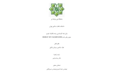 پایان نامه تشریح ریمپ و ایسیو ساژم