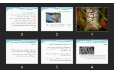 پاورپوینت مربیگری ورزش در مدارس
