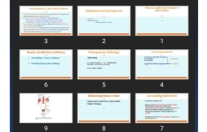 پاورپوینت Diseases Affecting Tubules & Interstitum