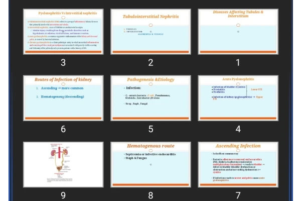پاورپوینت Diseases Affecting Tubules & Interstitum
