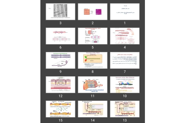 پاورپوینت بررسی الکتروفیزیولوژیک بافت عضلانی اسکلتی در قورباغه