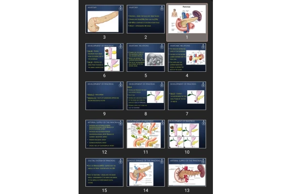 پاورپوینت Pancreas