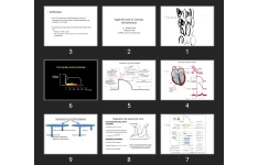 پاورپوینت Agents Used in Cardiac Arrhythmias