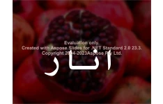 پاورپوینت انار      تعداد اسلاید : 17      نسخه کامل✅