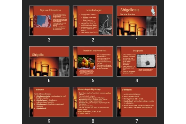 پاورپوینت Shigellosis Bacterial dysentery