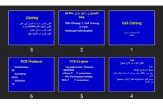 پاورپوینت Cell Cloning