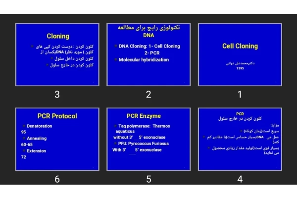 پاورپوینت Cell Cloning