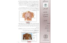 جزوه معاینات بالینی و صداهای ریه