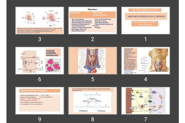 پاورپوینت آناتومی تیروئید ANATOMY & PHYSIOLOGY of THYROID