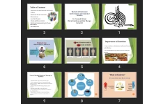 پاورپوینت The Role of Nutrition in the Prevention and Control of Diabetes
