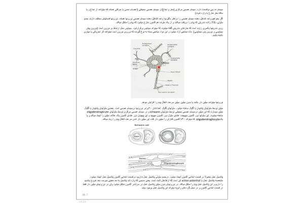 جزوه فیزیولوژی اعصاب