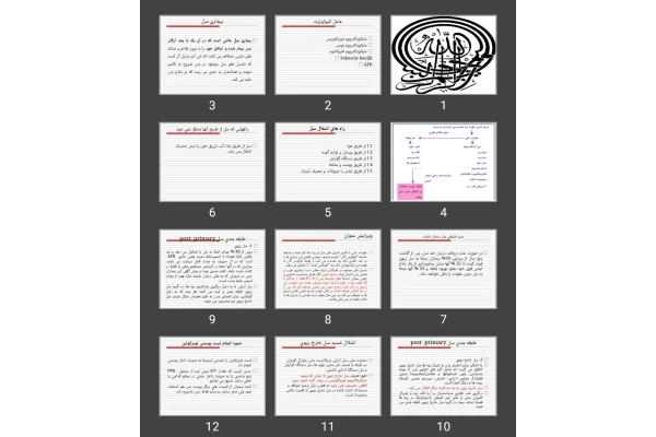 پاورپوینت بيماری سل