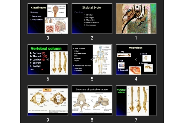 پاورپوینت Chest wall (Bones & cartilages & Joints)