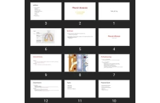 پاورپوینت Pleural diseases