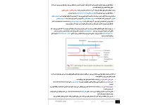 جزوه علوم تشریح گوارش
