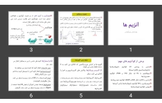 پاورپوینت آنزیم ها