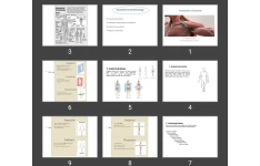 پاورپوینت Introduction of Anatomy