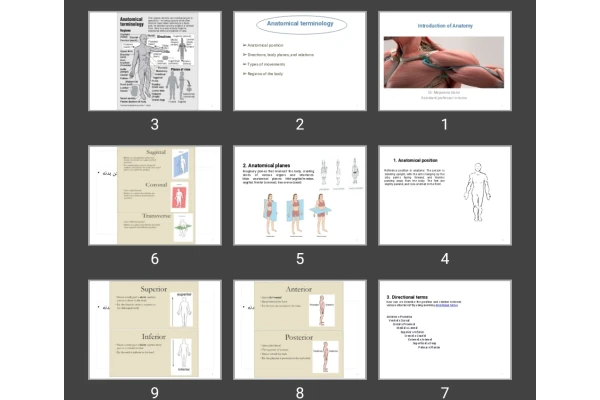 پاورپوینت Introduction of Anatomy