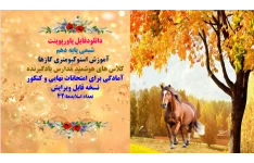 پاورپوینت شیمی پایه دهم آموزش استوکیومتری گازها کلاس های هوشمند مدارس یادگیرنده