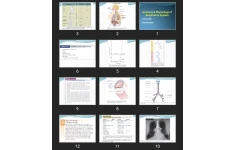 پاورپوینت Anatomy & Physiology of Respiratory System