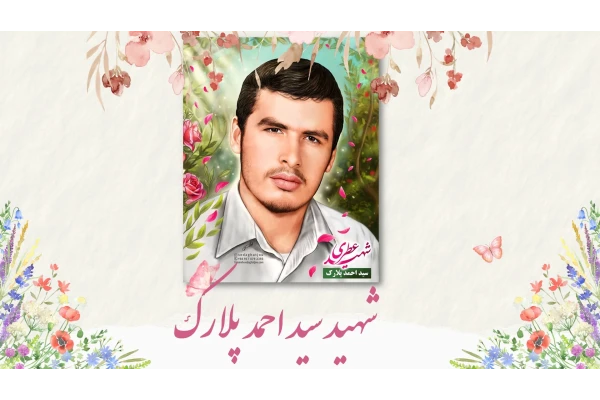 پاورپوینت شهید احمد پلارک