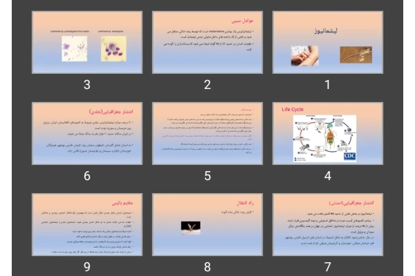 پاورپوینت لیشمانیوز