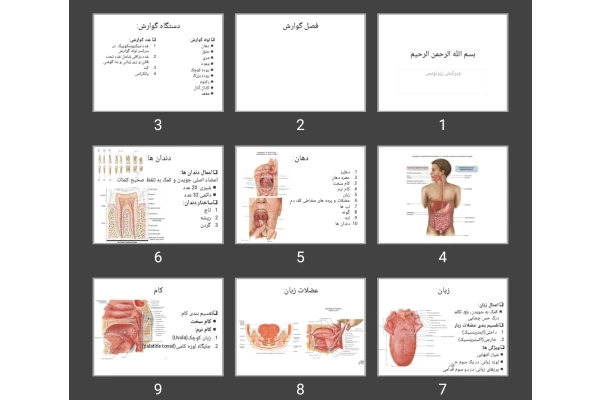 پاورپوینت فصل گوارش