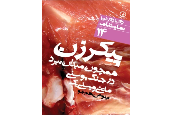 کتاب پیکر زن همچون میدان نبرد در جنگ بوسنی