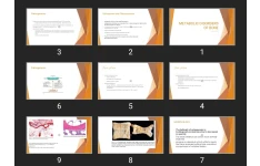 پاورپوینت METABOLIC DISORDERS OF BONE