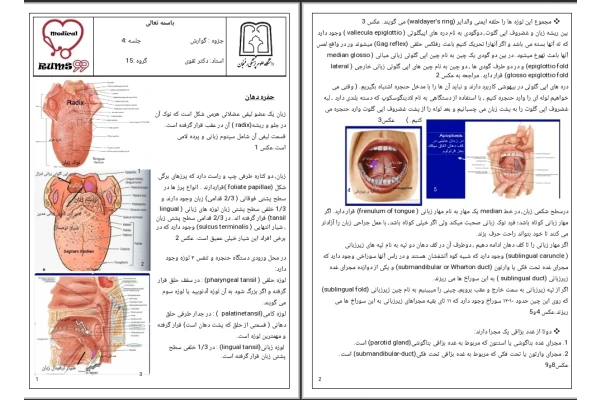 جزوه حفره دهانی جلسه دوم