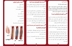 پمفلت آموزشی قرص پلاویکس