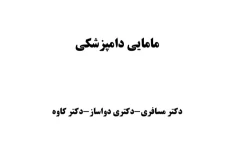 مامایی دامپزشکی - ۱۴۱ صفحه