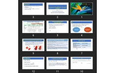 پاورپوینت Diagnosis & Classification of Diabets Mellitus
