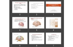 پاورپوینت Cerebral Cortex, Intellectual Functions of the Brain, Learning, and Memory