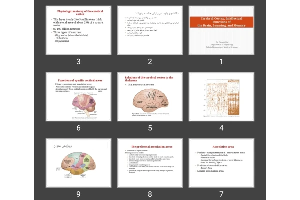 پاورپوینت Cerebral Cortex, Intellectual Functions of the Brain, Learning, and Memory