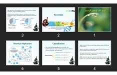 پاورپوینت Reoviridae