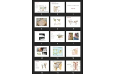 پاورپوینت Articulation of the Upper Extremity