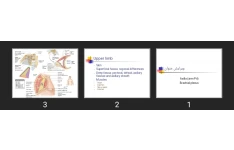 پاورپوینت Axilla (arm Pit) Brachial plexus