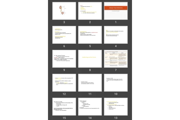 پاورپوینت Urinary Tract Infections