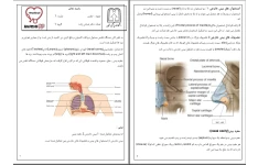 جزوه تنفس جلسه ۱