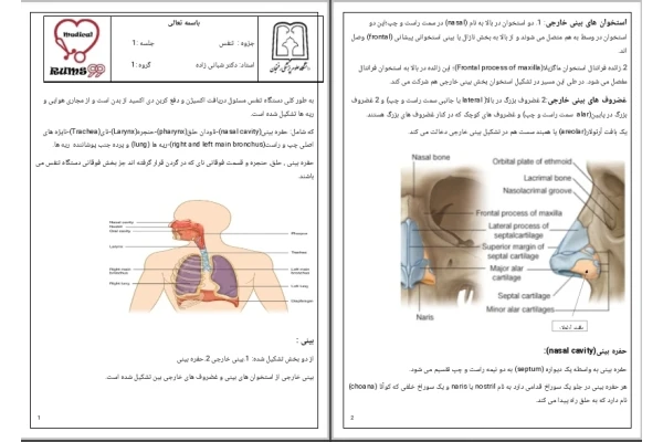 جزوه تنفس جلسه ۱