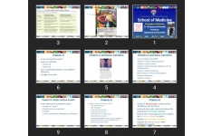 پاورپوینت Principles of Nutrition (the vitamins)