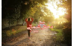 رمان دختر شمالی