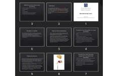 پاورپوینت Neurophysiology of pain
