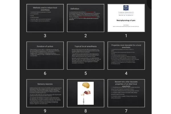 پاورپوینت Neurophysiology of pain